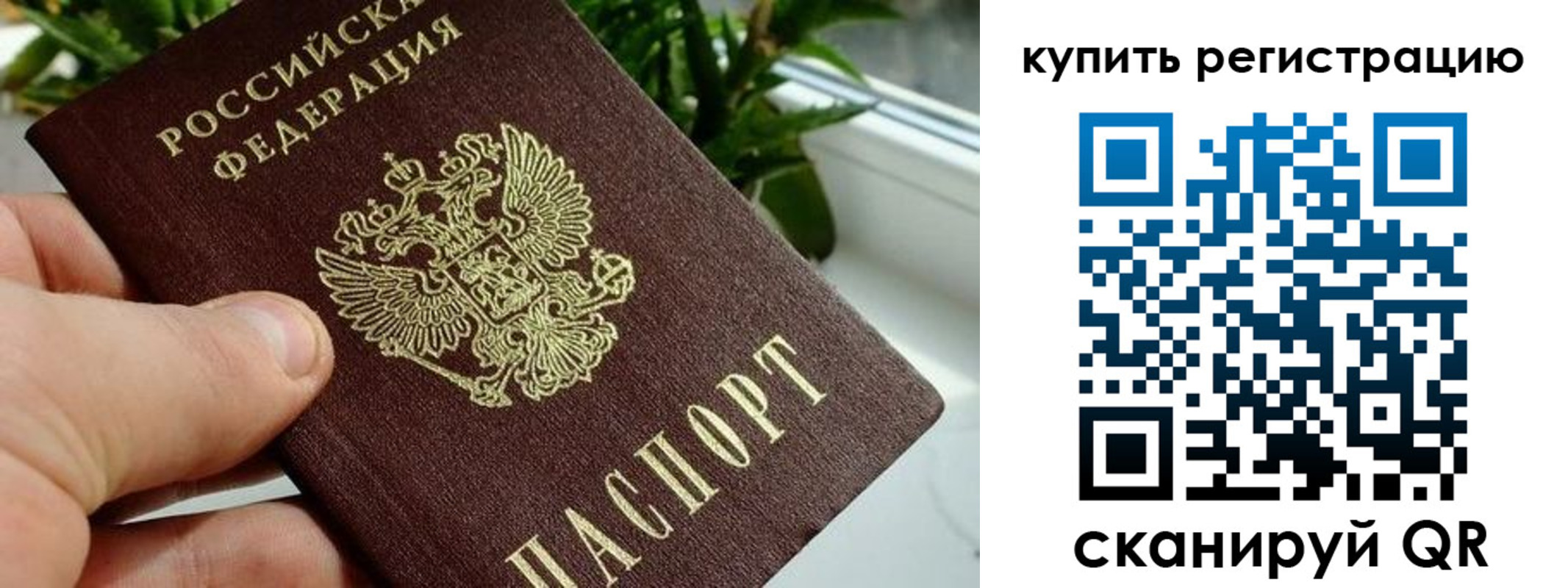 прописка гарантия в Благовещенске